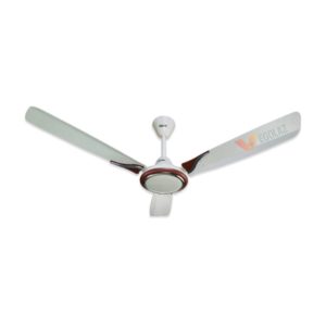 Click Camellia ceiling fan 56 inch ivory gold color with aerodynamic blades