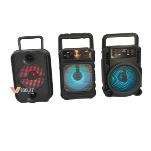RFR228 portable splash-proof mini speaker angled view
